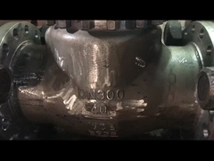 Valvola di controllo oscillante per vapore acqueo e olio