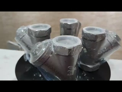 800PSI Stainless steel 304 316 CF8 CF8M BSP NPT Femminile filtro a filo Y tipo