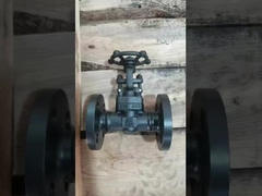 Valvola di porta in acciaio fuso in acciaio inossidabile per vapore idrico / liquidi corrosivi